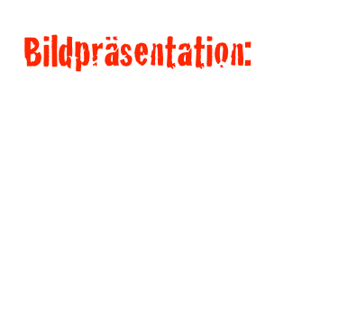 Bildpräsentation: Evolution wird mit R geschrieben!!
Ich durfte mein neustes Projekt in der allseits beliebten Bunt-Bar ausstellen.
Der Bericht dazu gibts hier!
und die Bilder hier!